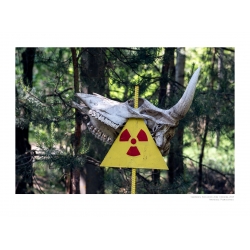 Chernobyl 13